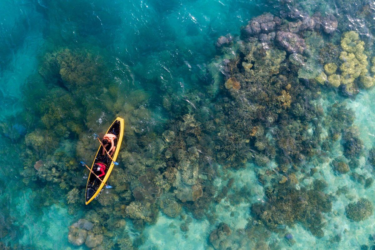 Alam di Jakarta untuk Healing Akhir Pekan