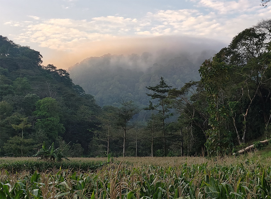 Mendaki Gunung: Gaya Hidup Baru Milenial dan Gen Z yang Tak Sekadar Tren